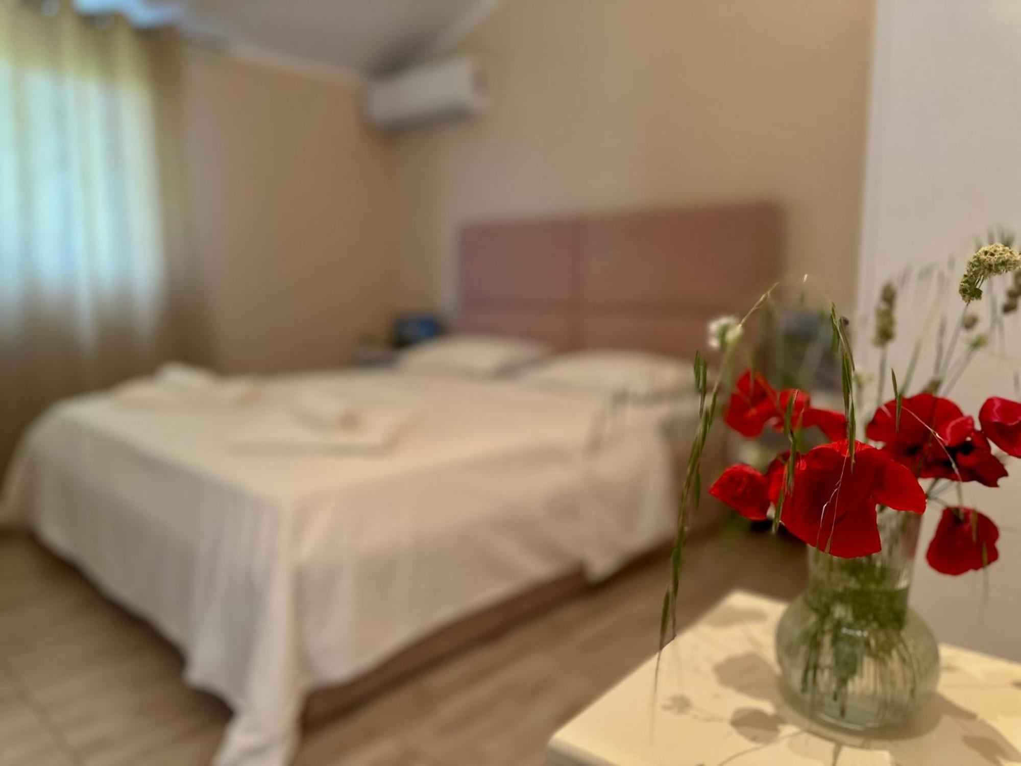 Ballkan B&B Grile Bagian luar foto